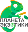 Логотип интернет-магазина Планета экзотики