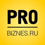 Логотип PRO-Бизнес.ру