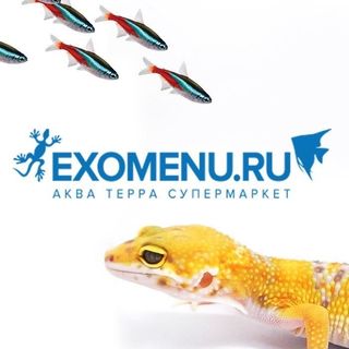 Логотип EXOMENU