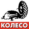 Логотип Koleso.ru