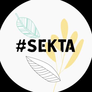 Логотип интернет-магазина #Sekta