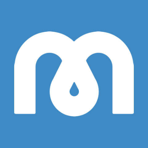 Логотип интернет-магазина Mindspa