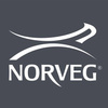 Логотип Norveg