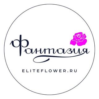 Логотип интернет-магазина Фантазия