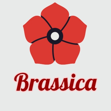 Логотип Брассика